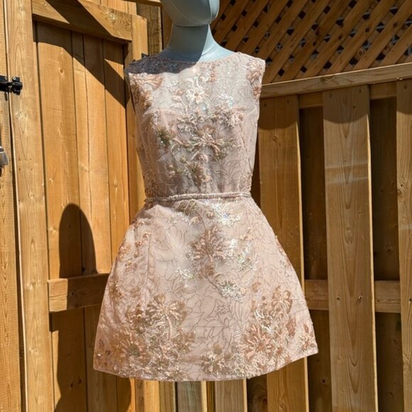 🆕 BRONX & BANCO 🧿 NWOT Violet Mini Dress, Gold & Champagne Sequin - Sz L US 8 - Picture 2 of 15